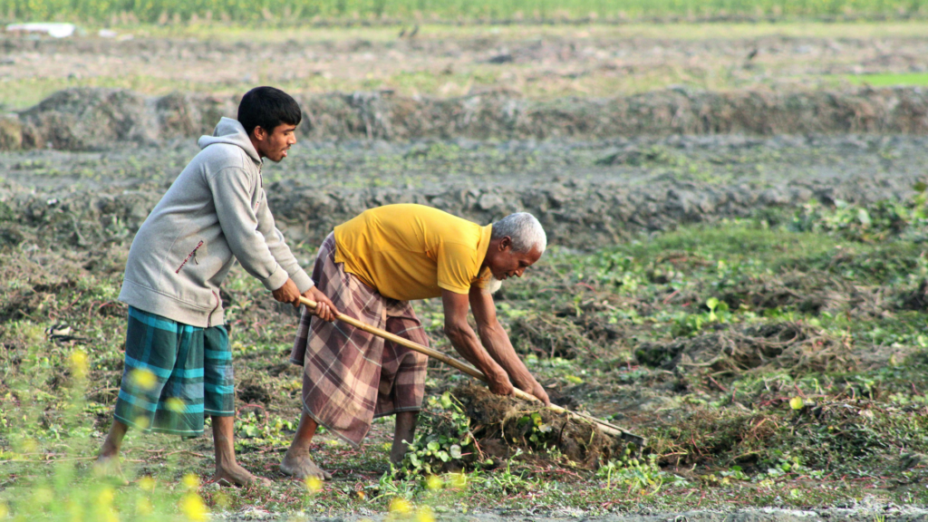 Farming Reality in 2026: Challenges Farmers Continue to Face Worldwide a split screen showing graduates holding degrees on one side and professionals working on laptops with technical tools on the other. (24)