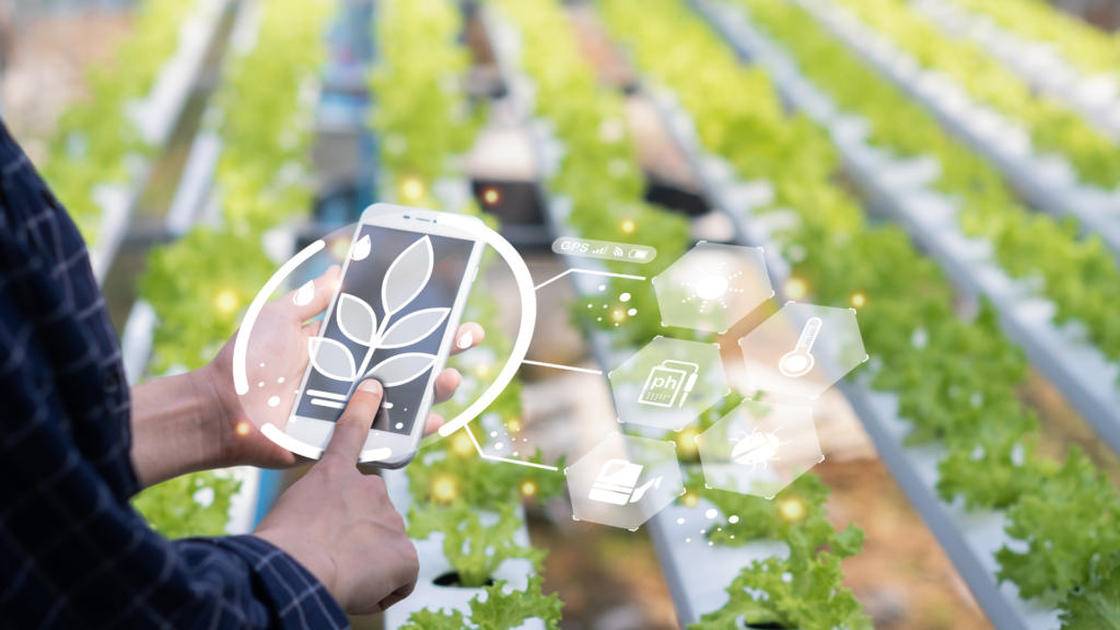 Crop Advisory in 2026: How Farmers Are Using Technology for Better Crop Management a split screen showing graduates holding degrees on one side and professionals working on laptops with technical tools on the other. (26)